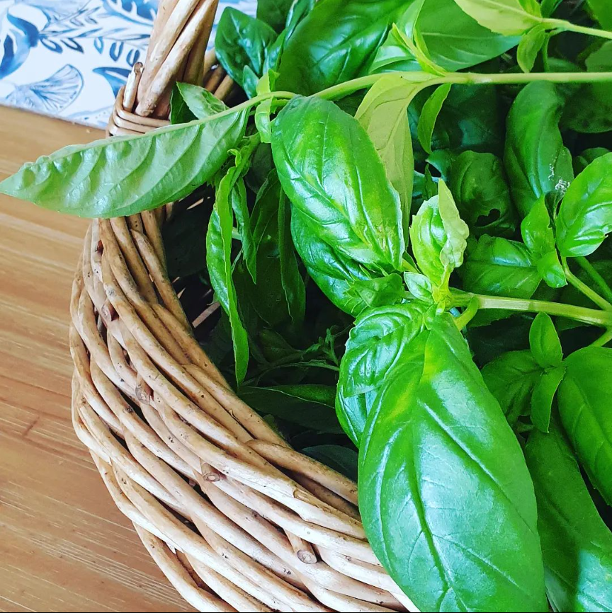 How to make basil pesto